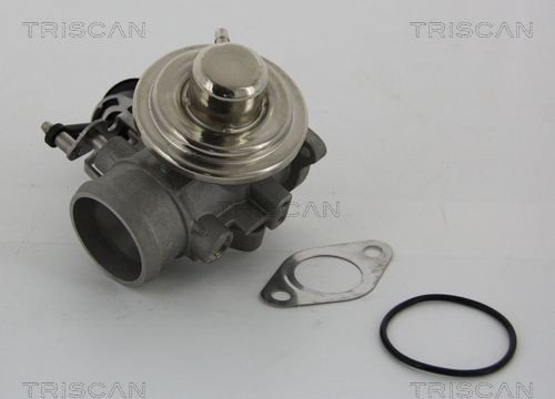 EGR ventil TRISCAN 8813 29001