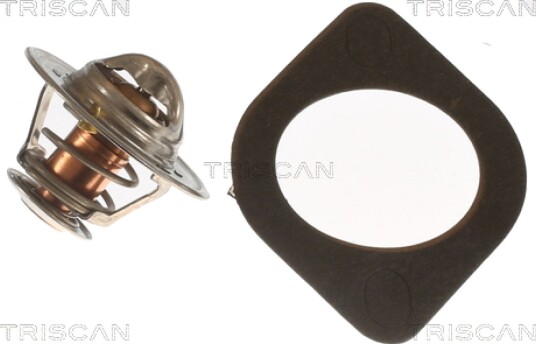 Termostat TRISCAN 8620 2082