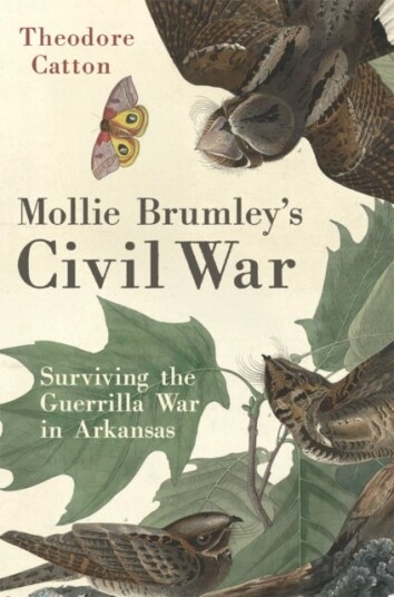 Mollie Brumley's Civil War Mollie Brumley's Civil War