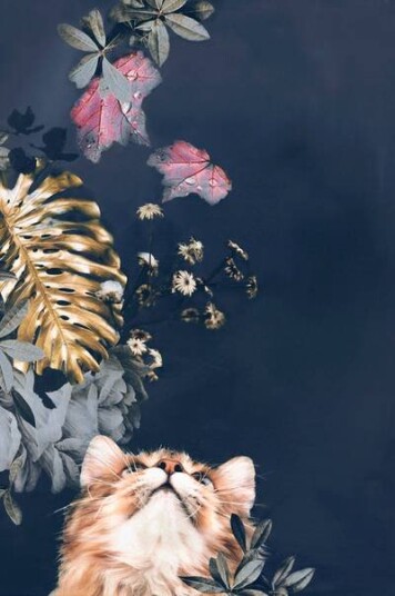Malerifabrikken Poster Pet Couture 3 1682747-01-48