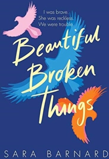 Beautiful Broken Things Av Sara Barnard