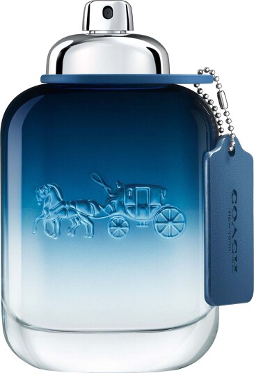 Coach Blue Eau de Toilette 40ml med friske aromatiske dufter for menn