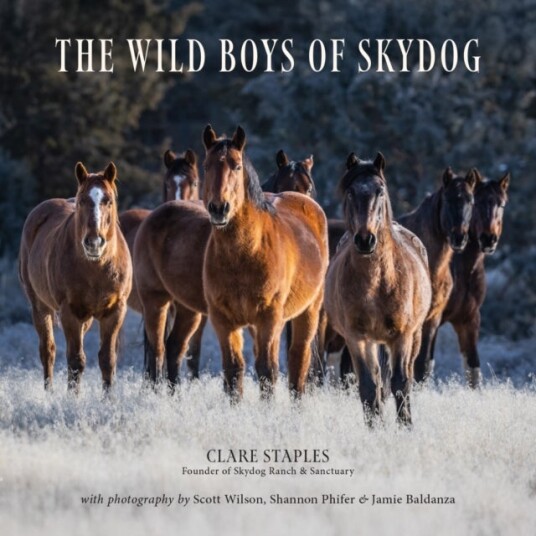 The Wild Boys of Skydog