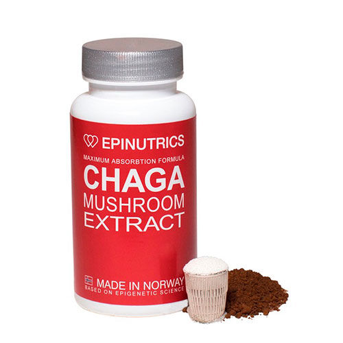 Epinutrics EPI-Chaga 60 Kapsler Epinutrics EPI-Chaga 60 Kapsler