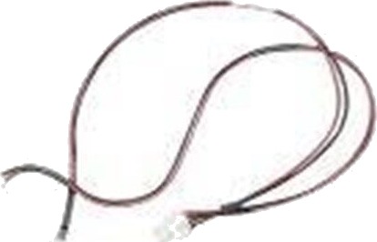 Zebra DC "Y" Cable