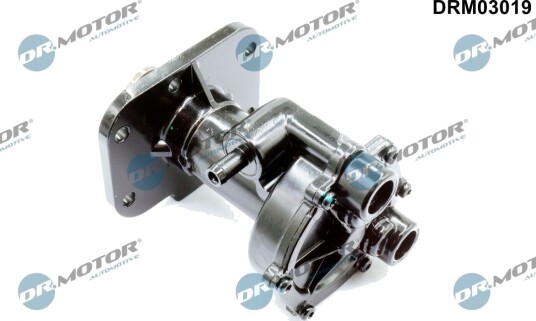 Vakuumpumpe bremseanlegg DR.MOTOR AUTOMOTIVE DRM03019