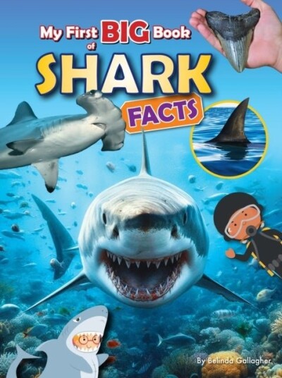 My First BIG book of SHARK Facts My First BIG book of SHARK Facts
