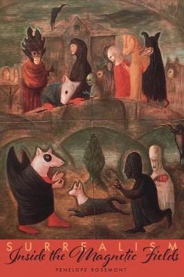 Surrealism Inside the Magnetic Fields