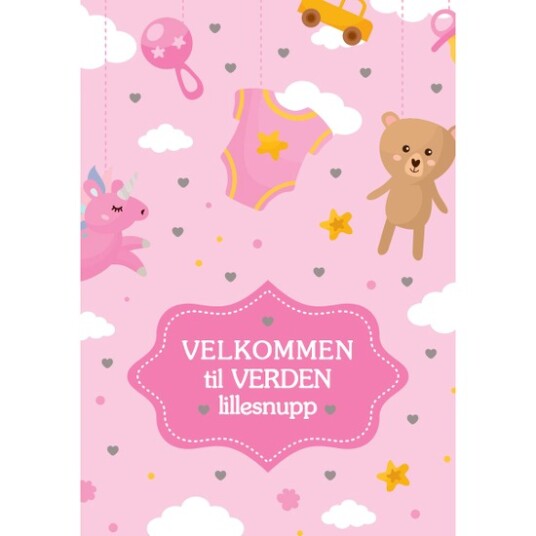 Papirkompaniet mini kort Velkommen til verden lillesnupp
