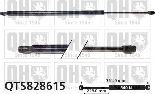 QUINTON HAZELL QTS828615 Baklukedemper