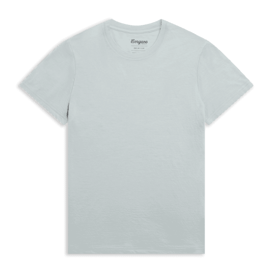 Bergans Of Norway Bergans Merino Light Tee Women Dried Sage L L