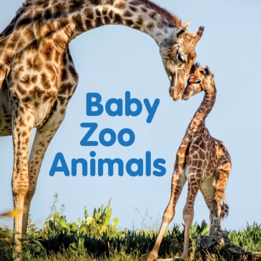 Baby Zoo Animals  Board book