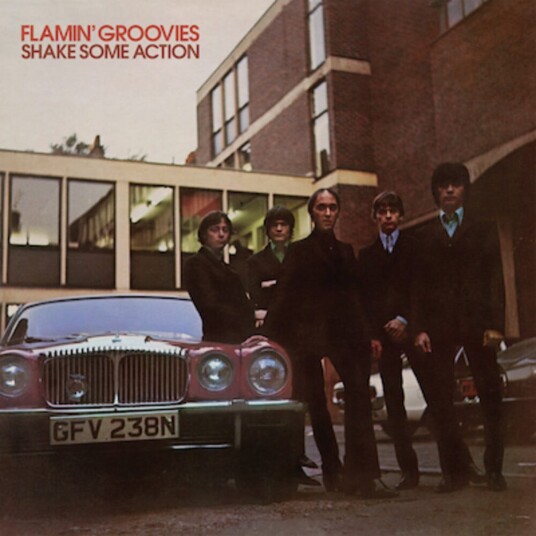 Flamin' Groovies Shake Some Action LP/Vinyl Flamin' Groovies Shake Some Action LP/Vinyl