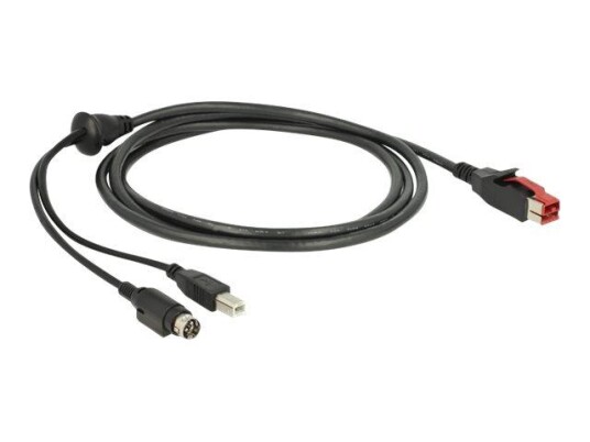 Delock Strømforsynt USB-kabel - 2 m
