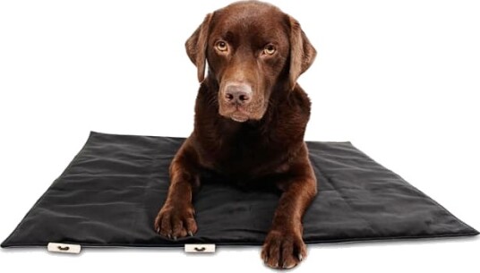 Bia Bed Bia Travel Outdoor Hundemadrass Svart (M)