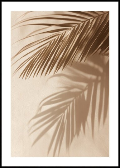 Palm Leaf Shadows Plakat Plakat / 30x40cm