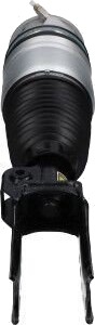 Luftdempere KAVO PARTS SAS-10038