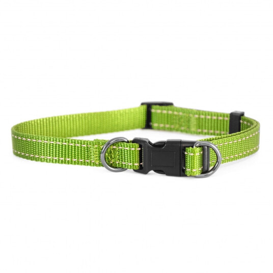 Dogman Nylonhalsbånd Iris Limegrøn (38-66 cm) Dogman Nylonhalsbånd Iris Limegrøn (38-66 cm)