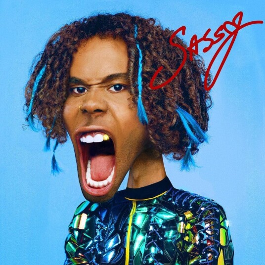 Sassy Usa Vinyl Sassy Usa Vinyl