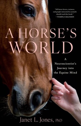 A Horse's World A Neuroscientist's Journey into the Equine Mind