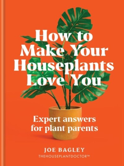 How to Make Your Houseplants Love You  Expert Answers for Plant Parents