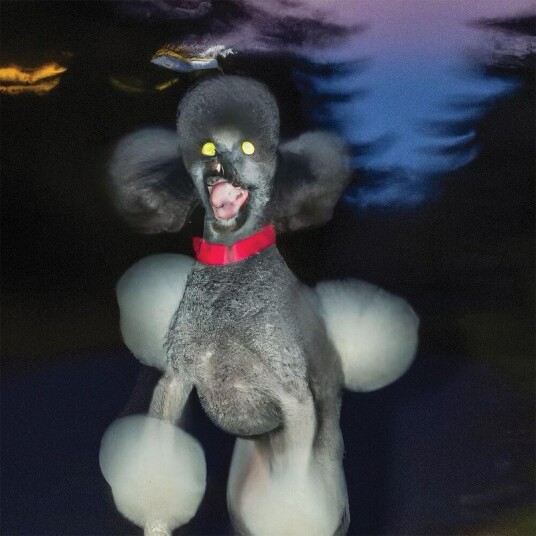 Dog A Deer A Seal Vinyl Dog A Deer A Seal Vinyl
