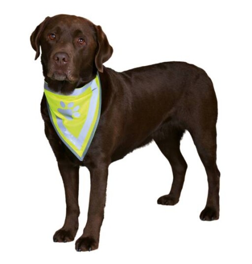 Gul Refleks Bandana For Hund 3 Str