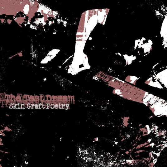 The Test Dream Skin Graft Poetry CD