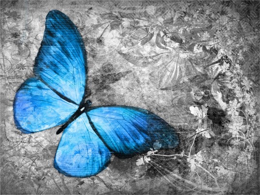 Fototapet Blue Butterfly 350x270 - Artgeist sp. z o. o.