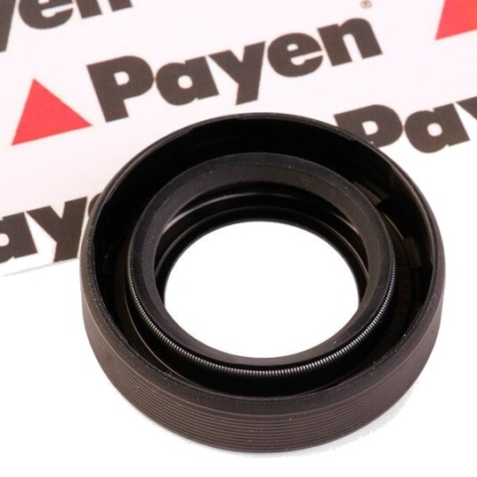 Akseltetningsring differensial PAYEN NA5204