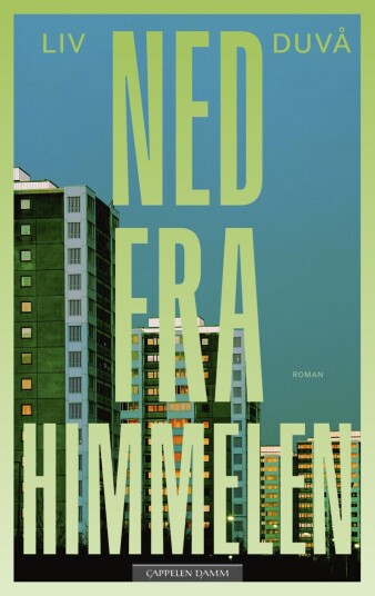 Ned fra himmelen