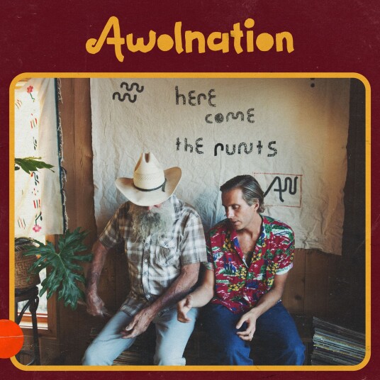 Awolnation Here Comes The Runts LP/Vinyl Awolnation Here Comes The Runts LP/Vinyl