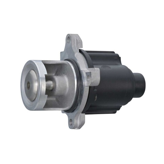 EGR Ventil HELLA 6NU 014 864-631