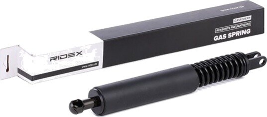 RIDEX 219G0068 Baklukedemper