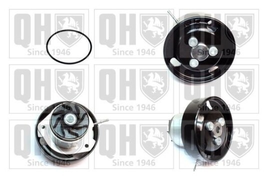 QUINTON HAZELL QCP3864 Vannpumpe