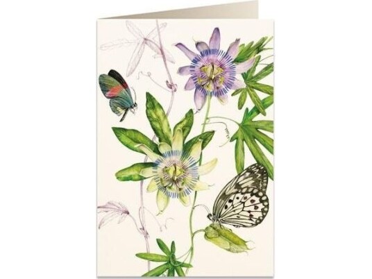 Tassotti Karnet B6 + Koperta 6089 Passiflora