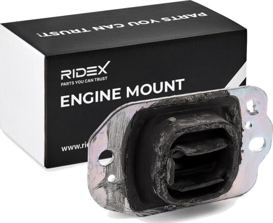 RIDEX 247E1017 Motorfeste