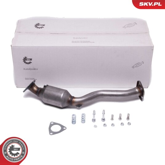 Katalysator ESEN SKV 62SKV020