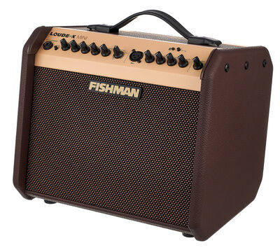 Fishman Loudbox Mini with Bluet Bundle