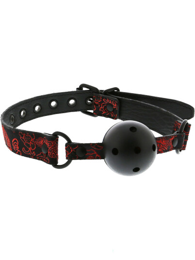 DreamToys Dream Toys: Blaze, Deluxe Breathable Ball Gag