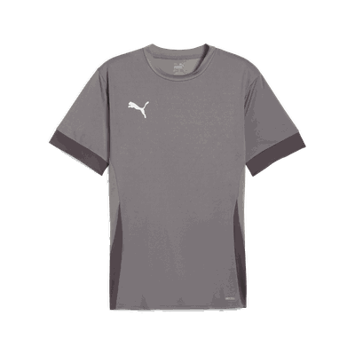 Puma teamGOAL Matchday Jersey treningstrøye herre Grey L