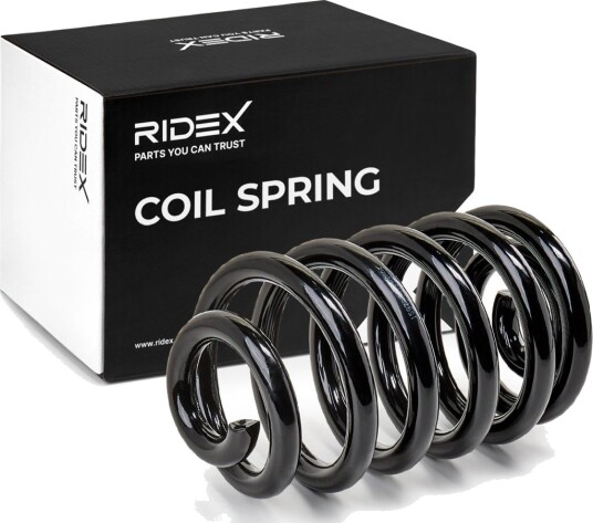 RIDEX 188C0166 Fjær