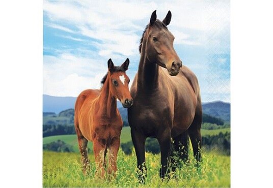 Servietter Hester 20stk Servietter Hester 20stk