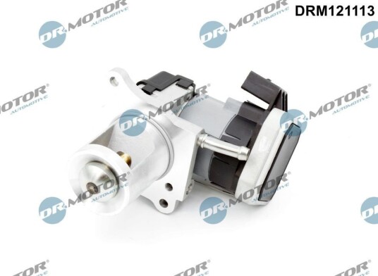 EGR Ventil Dr.Motor Automotive DRM121113