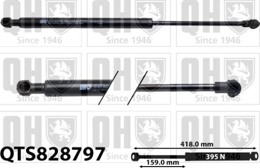 QUINTON HAZELL QTS828797 Baklukedemper