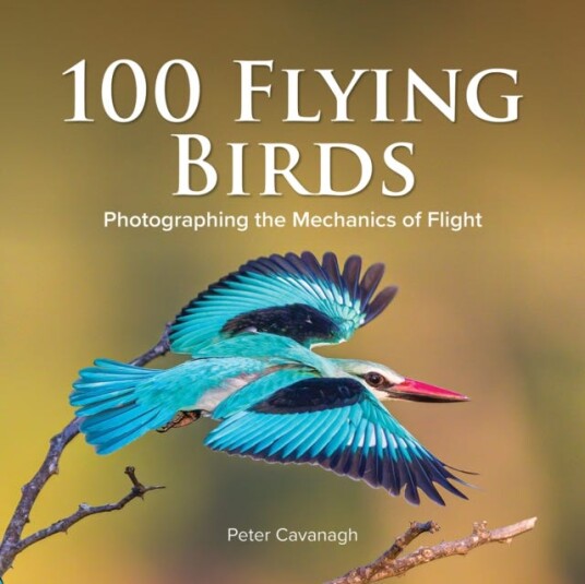 100 Flying Birds Av Peter Cavanagh