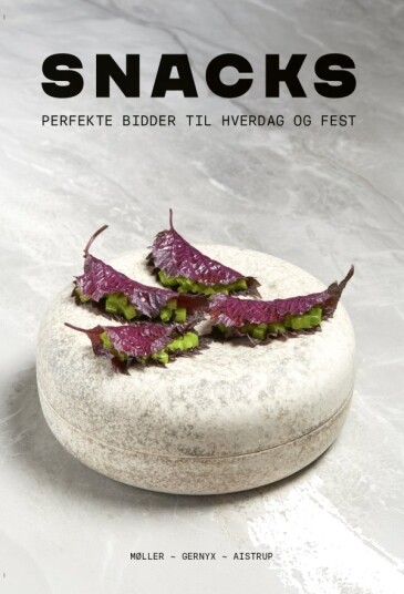 Snacks | Nikolaj Møller Anders Aistrup Flemming Gernyx