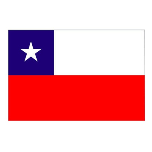 Henbrandt Flagg Chile