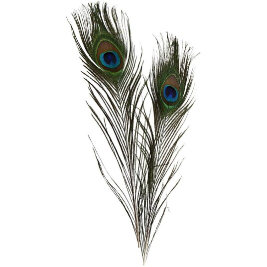 DIY Kit Peacock feathers 10pc 51810