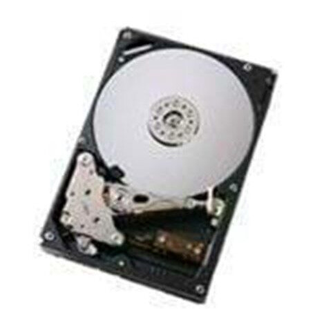 Dell - Harddisk - 1 TB - 3.5" - 7200 rpm - SATA-300 - cache